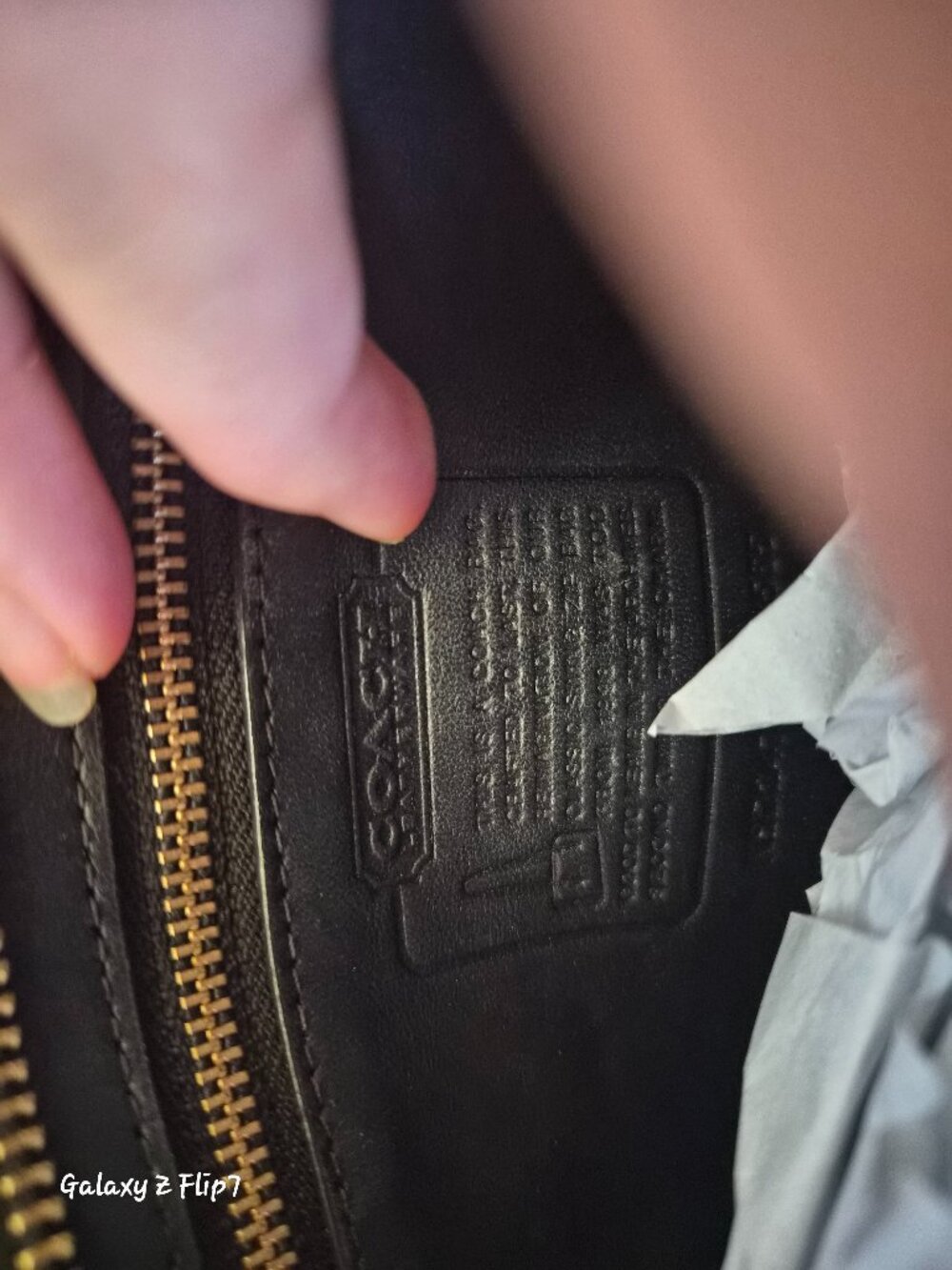 Coach swing zip